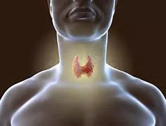 A man with glowing red thyroid gland in front of his face.