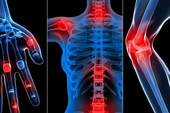 A collage of three different images showing the human body.
