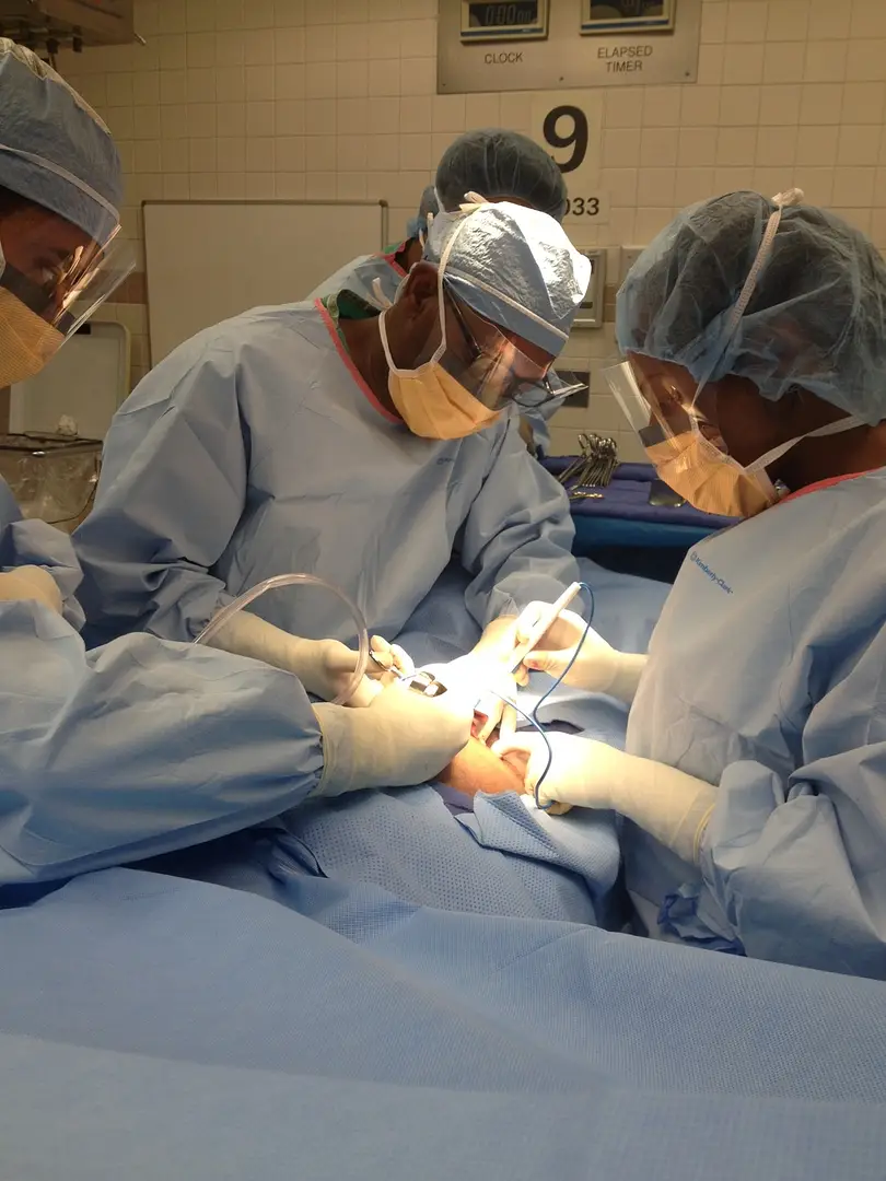 A group of surgeons performing surgery on a cat.